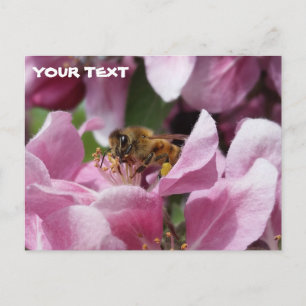 Carte Postale Miel Abeille Pollinant Crabelle Rose Fleuve Arbre