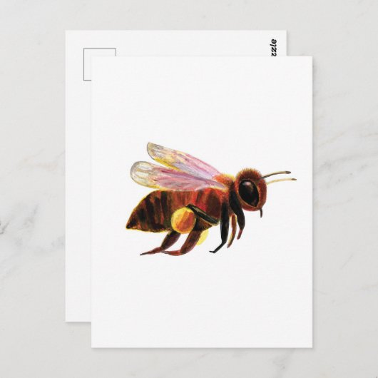 Carte Postale Miel Bee avec ses corbeilles de pollen (Devant / Derrière)