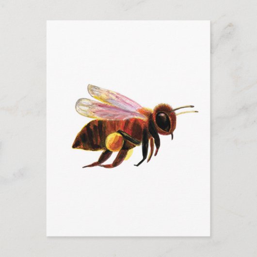 Carte Postale Miel Bee avec ses corbeilles de pollen (Devant)