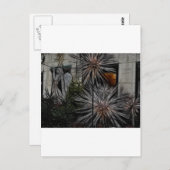 Carte Postale Miel fané (Devant / Derrière)