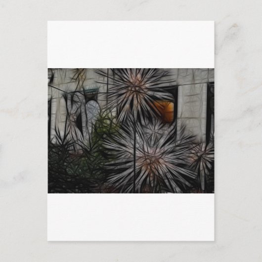 Carte Postale Miel fané (Devant)