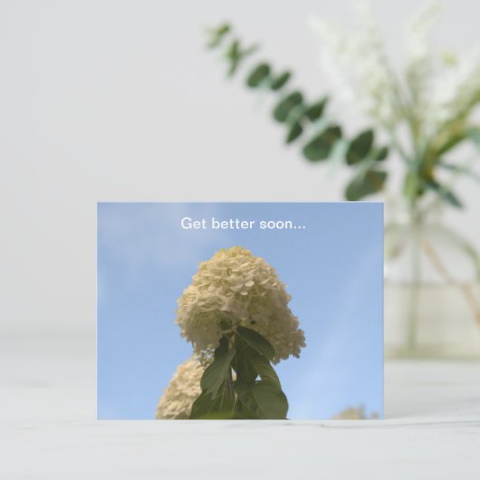 Carte Postale Mieux vaut Bientôt Lime Hydrangea (Debout devant)