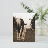 Carte Postale mignon (Debout devant)