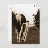 Carte Postale mignon (Devant / Derrière)