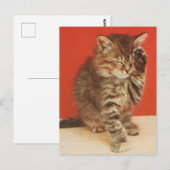 Carte Postale Mignon et câlin petit chaton (Devant / Derrière)