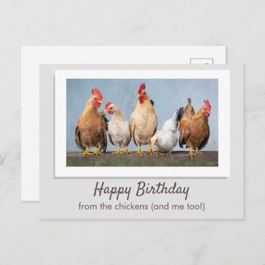 Carte Postale Mignon Gris Joyeux Anniversaire De La Part Des Pou (Devant / Derrière)