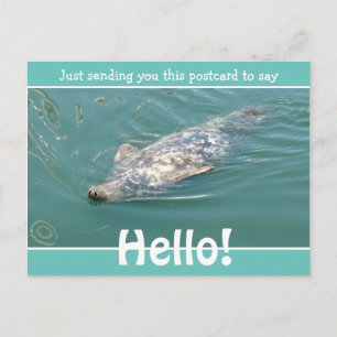 Carte Postale Mignon Phoque Drôle Disant simplement Bonjour