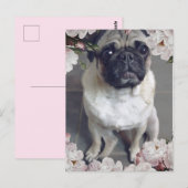 Carte Postale Mignon Pug (Devant / Derrière)