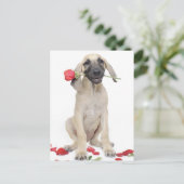Carte Postale mignonne, admiration, romance, amour, (Debout devant)