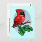 Carte postale mignonne Cardinal Baby (Devant / Derrière)