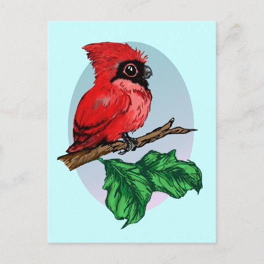 Carte postale mignonne Cardinal Baby (Devant)
