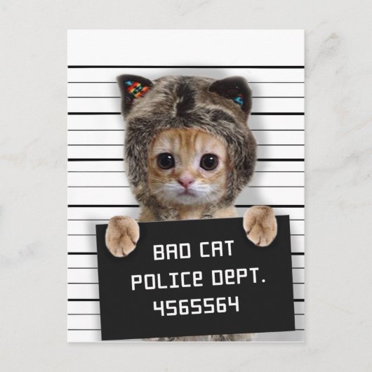 Carte Postale Mignonne chat mauvais garçon (Devant)