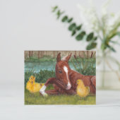 Carte postale mignonne chick & foin canard (Debout devant)