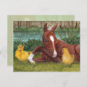 Carte postale mignonne chick & foin canard (Devant / Derrière)