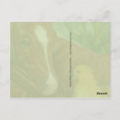 Carte postale mignonne chick & foin canard (Dos)