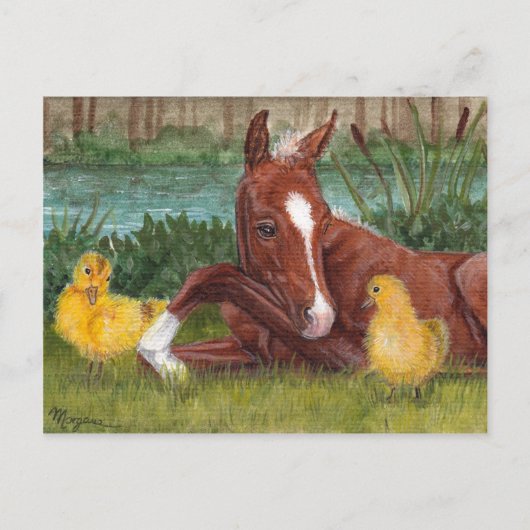 Carte postale mignonne chick & foin canard (Devant)