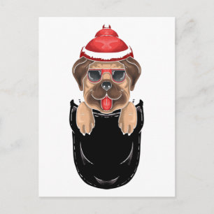 Carte Postale Mignonne chien Carlin assis dans une poche