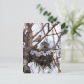 Carte postale mignonne de Pâques de nid de chaton (Debout devant)