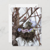 Carte postale mignonne de Pâques de nid de chaton (Devant / Derrière)