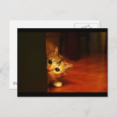 Carte Postale mignonne_drôle_animaux_28 kitten chat sneaking (Devant / Derrière)