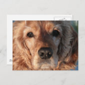 Carte postale mignonne espagnole (Devant / Derrière)