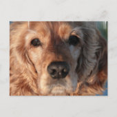 Carte postale mignonne espagnole (Devant)