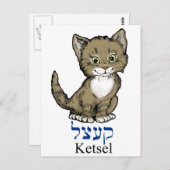 Carte Postale mignonne petite chatte-"ketsel" en yiddish (Devant / Derrière)