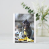 Carte Postale Mignonne singe macaque de bébé mangeant de la bana (Debout devant)