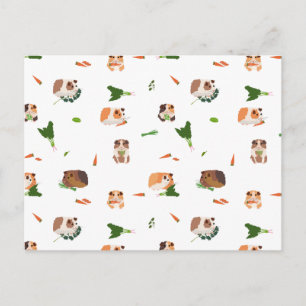 Carte Postale Mignons Cochons d'Inde Drôles Motif d'Animaux de C