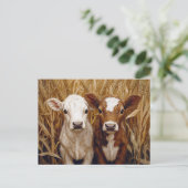 Carte Postale Mignons Veaux dans un Champ de Maïs (Debout devant)