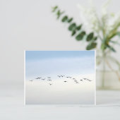 Carte Postale migrateurs (Debout devant)