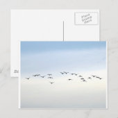 Carte Postale migrateurs (Devant / Derrière)