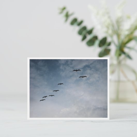 Carte Postale Migrating Geese in V-Formation (Debout devant)