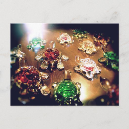 Carte Postale Migration - Tortues de verre (Devant)