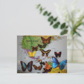 Carte Postale Migrational Locales, JLH (Debout devant)