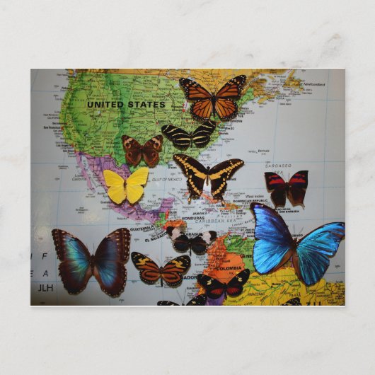 Carte Postale Migrational Locales, JLH (Devant)
