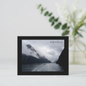 Carte Postale Milford Sound (Debout devant)