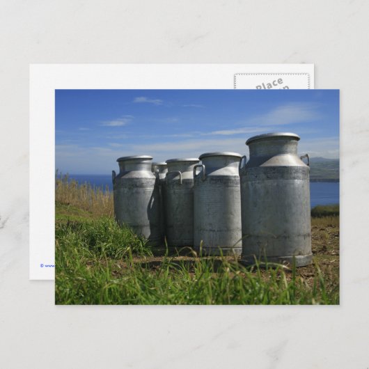 Carte Postale Milk urns (Devant / Derrière)