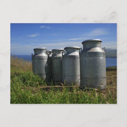 Carte Postale Milk urns (Devant)