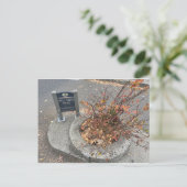 Carte Postale Mill Ends Park (Debout devant)