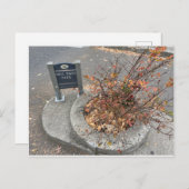 Carte Postale Mill Ends Park (Devant / Derrière)