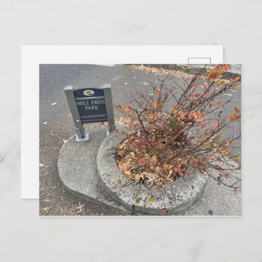 Carte Postale Mill Ends Park (Devant / Derrière)