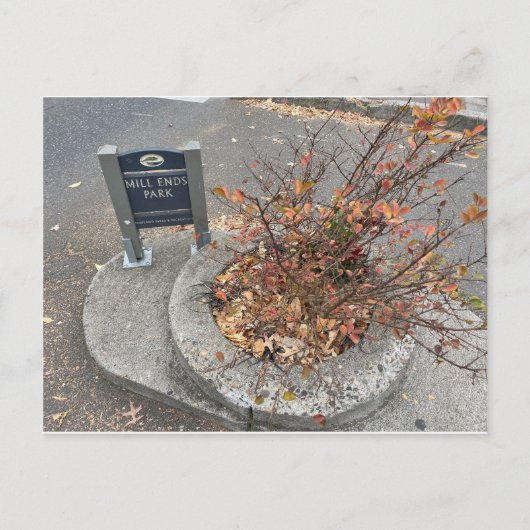 Carte Postale Mill Ends Park (Devant)