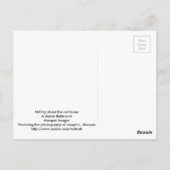 Carte Postale Milling about the old outhouse (Dos)