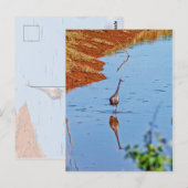 Carte Postale Mimitation (Devant / Derrière)