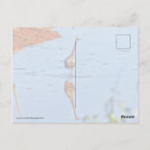 Carte Postale Mimitation (Dos)