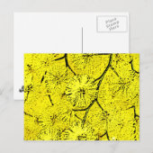 Carte Postale Mimosa (Devant / Derrière)