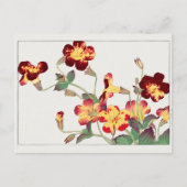 Carte Postale Mimulus luteus par Tanigami Konan (Devant)