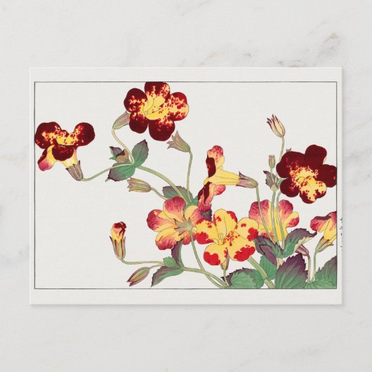 Carte Postale Mimulus luteus par Tanigami Konan (Devant)