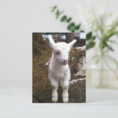 Carte postale Min Doeling (Debout devant)